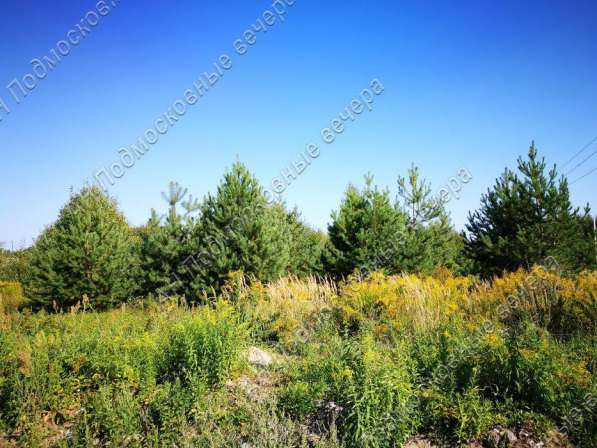 realty_mapper3.plot_in_locationИндивидуальное жилищное ст-во. Площадь 10.00 сот.Есть Электричество. в Москве фото 3