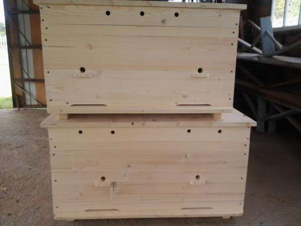 Новые улья для пчел из сибирской древесины в Минеральных Водах