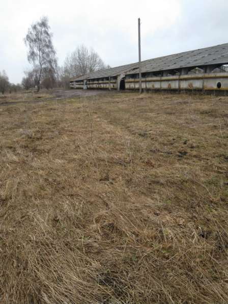 Продаю в Туле