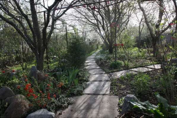 Сдам в оренду в Видном фото 4