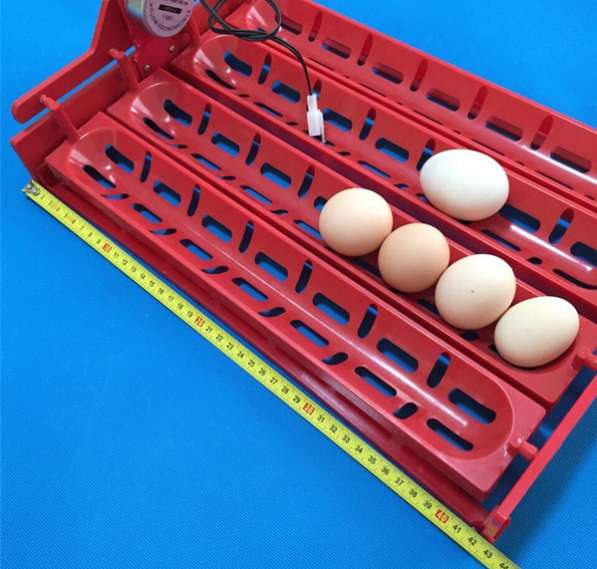 ✔ ✔ ✔ Лотки с переворотом для инкубатора на 40 гусиных яиц в Астрахани фото 8