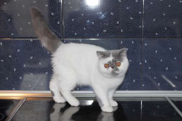 ТОПАЗ в Москве фото 11