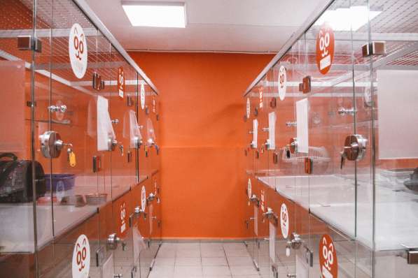 Передержка для кошек в Люберцы фото 14