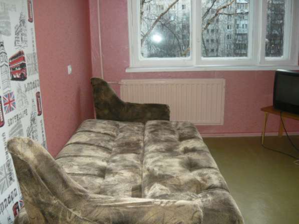 Сдается однокомнатная квартира Будапештская 110/23 в Санкт-Петербурге фото 12