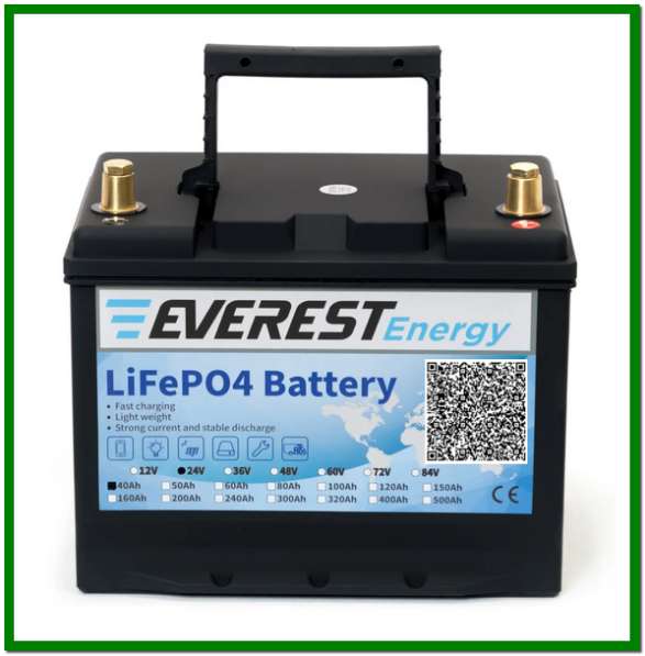 Everest Energy LFP-24V60А в Санкт-Петербурге