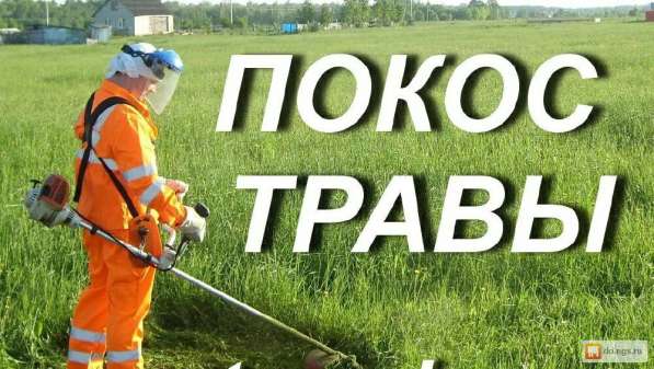 Скошу траву на вашем участке в Покрове