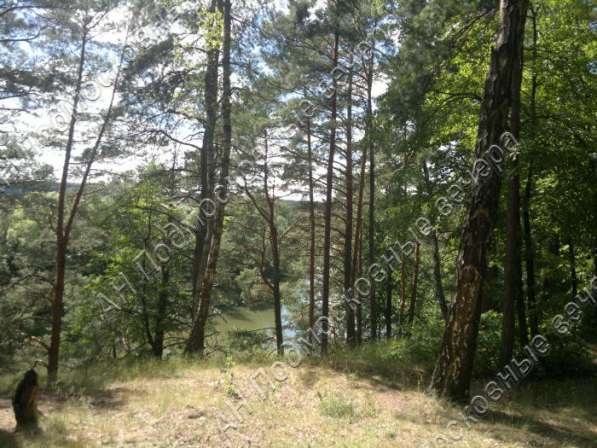 realty_mapper3.plot_in_locationИндивидуальное жилищное ст-во. Площадь 12.00 сот.Есть Электричество. в Москве фото 6