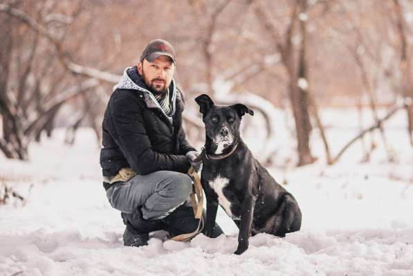 Статный красавец Виконт ищет семью в Москве фото 21