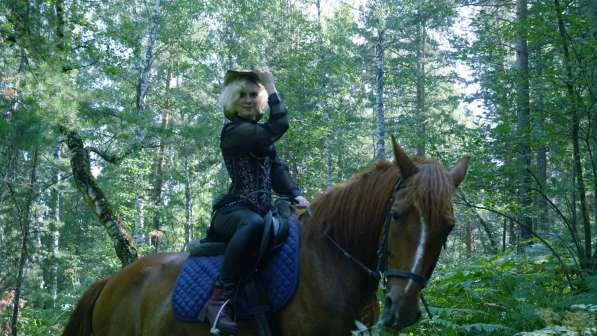 Конная прогулка в Красноярске фото 19