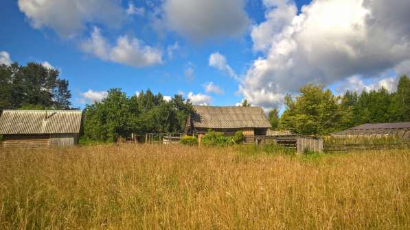 Добротный дом с баней и хоз-вом на хуторе под Печорами в Пскове фото 4