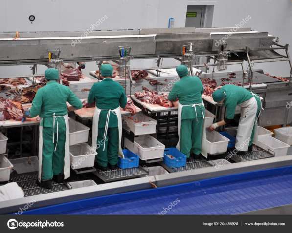 Работа в Крыму в Краснодаре фото 3