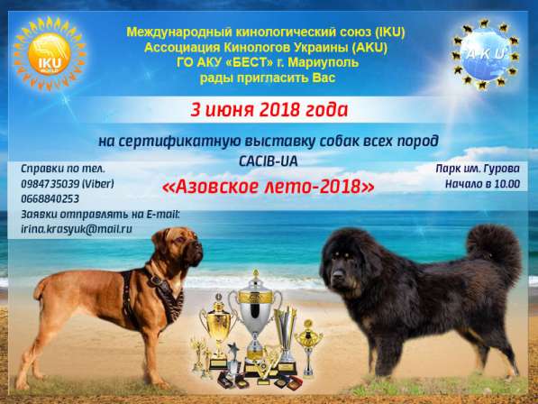 Выставка собак в фото 6