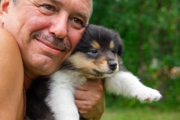 Щенок колли длинношёрстный в Екатеринбурге фото 31