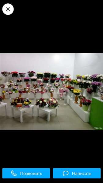 Готовый цветочный бизнес в Краснодаре
