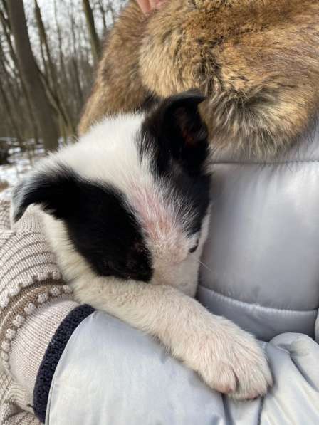 Ответственность в Москве