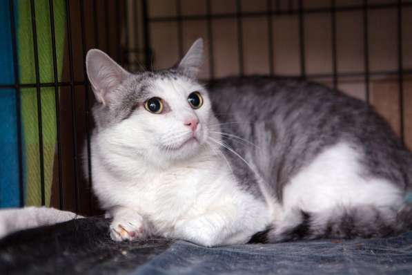 Интеллигентный Пабло ждёт встречи со своим человеком в Москве фото 3