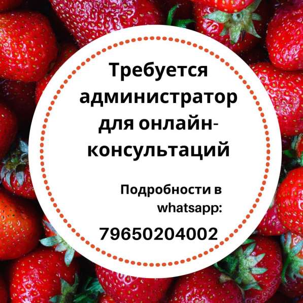 Срочно требуется администратор