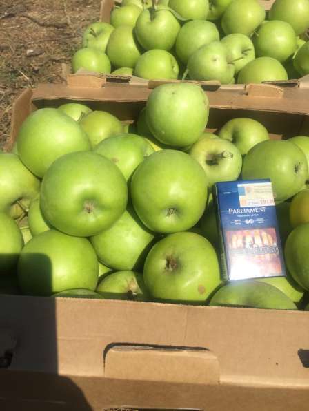 Крымские яблоки оптом в Москве