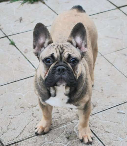 Подрощенная девочка в Москве фото 4