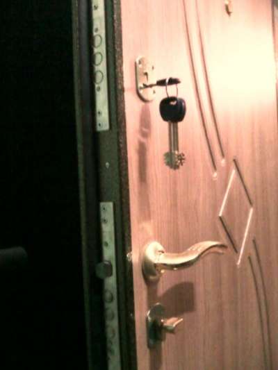 Взломостойкие стальные двери Двери-В-Дом в Люберцы фото 5