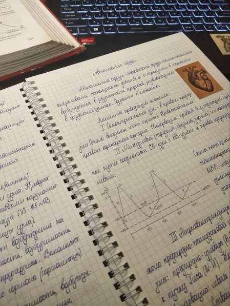 Рукописные лекции в Воронеже