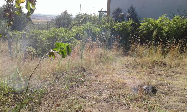 Срочно Продам дом (дача) в фото 29