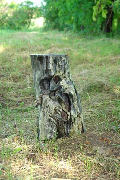 СКУЛЬПТУРА для ландшафта из дерева, камня, метала, памятники в Краснодаре фото 5