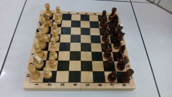 Шахматы лакированные Обиходные 290х145х38 новые с доставкой в Волгограде фото 5