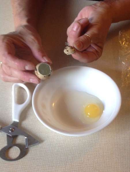 ✔ ✔ ✔ Ножницы для вскрытия перепелиных яиц, перепел яйцо ✔ ✔ в Астрахани фото 17