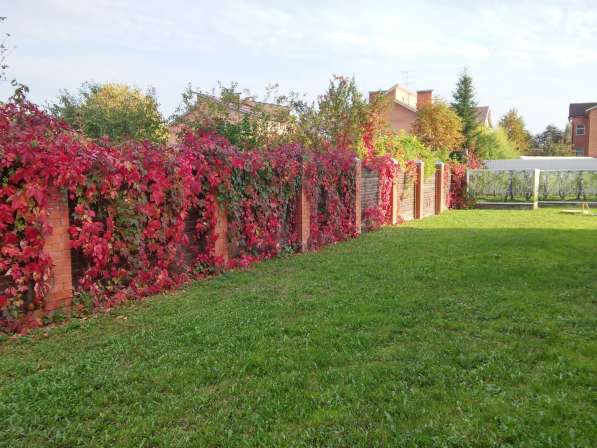 Дом престарелых Орловка в Москве фото 7