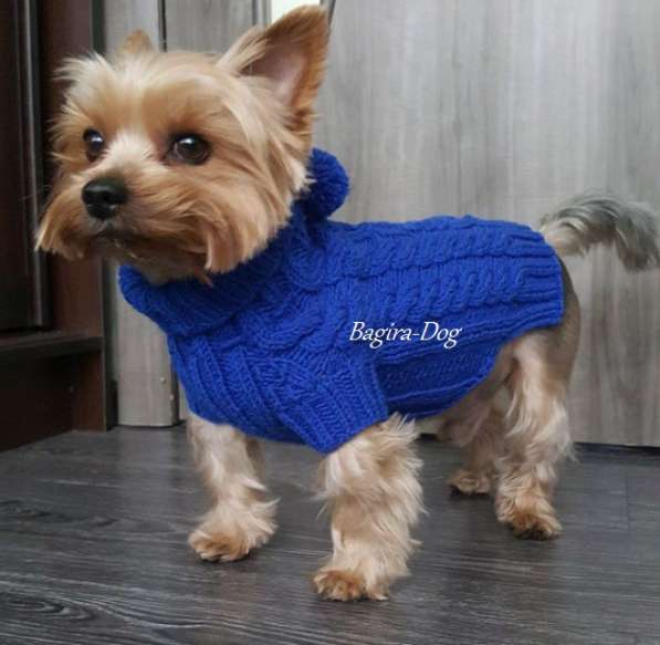 Свитера для собак ручной работы в Москве фото 46