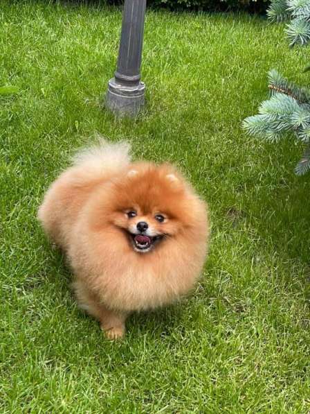 Маленькая чудесная девочка 4 месяца в фото 11