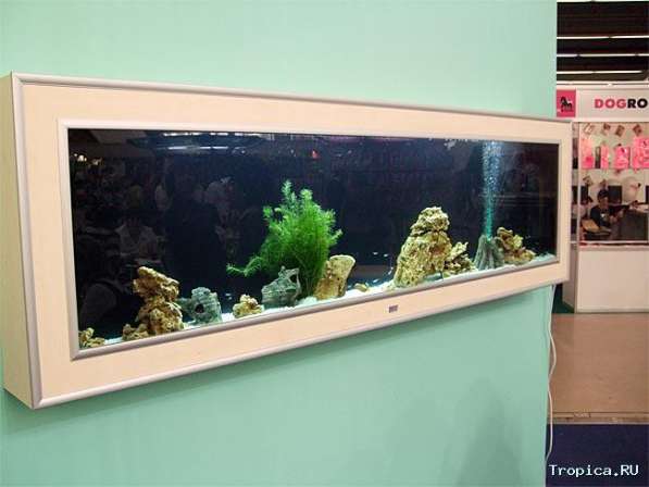 Приму в дар настенный аквариум в Санкт-Петербурге фото 4