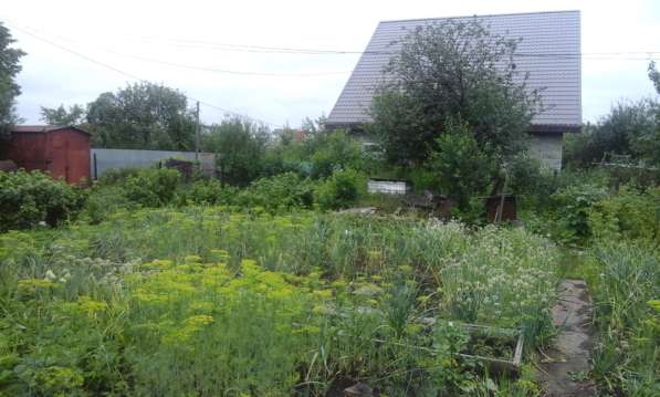 Продам отличный сад в Любителе-2 в Челябинске фото 14