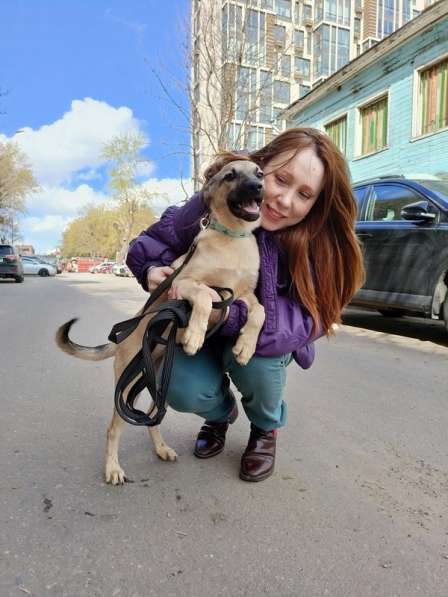 Милые щенки в добрые руки в Москве фото 5