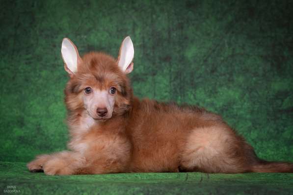 КХС в Москве фото 18