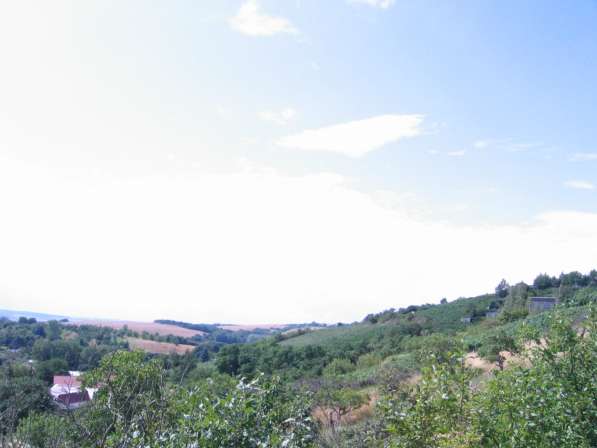 Дача в Германии с живописным видом в Москве фото 8