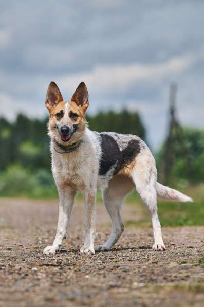 Луна: возраст 1,5 г в Москве фото 4