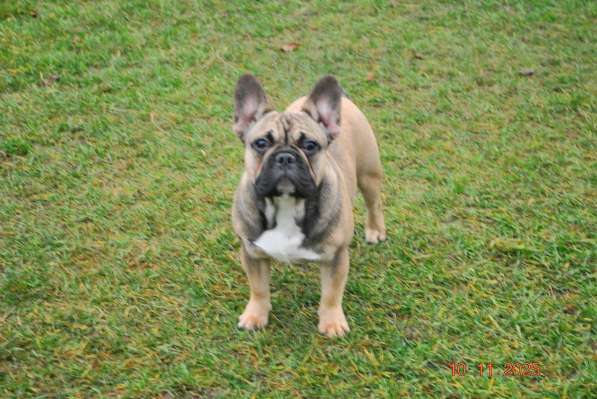 Подрощенная девочка в Москве фото 7