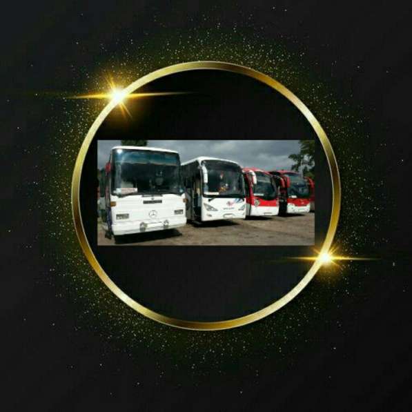 Пассажирские перевозки в фото 6