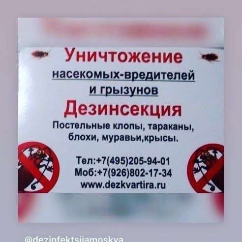 Уничтожение клопов тараканов блох клещей в Москве
