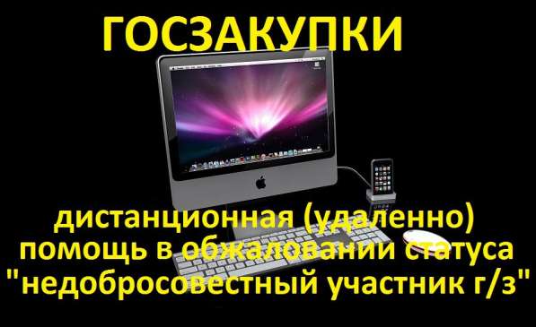 Госзакупки. Обжалование статуса недобросовестный участник в фото 3