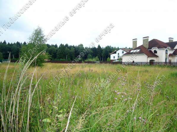 realty_mapper3.plot_in_locationСадовое некоммерческое тов-во. Площадь 15.00 сот.Есть Газ. в Москве фото 13