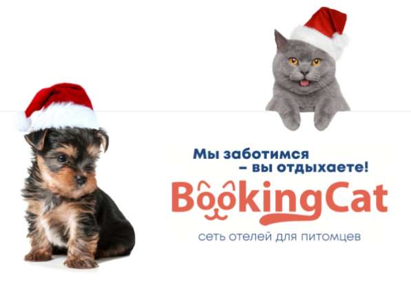 Зоогостиница BookingCat в 