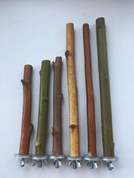 Жердочки для птиц в Екатеринбурге фото 19