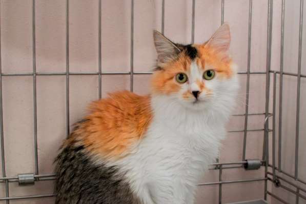 Ласковая Фруттис мечтает о встрече с семьей в Москве