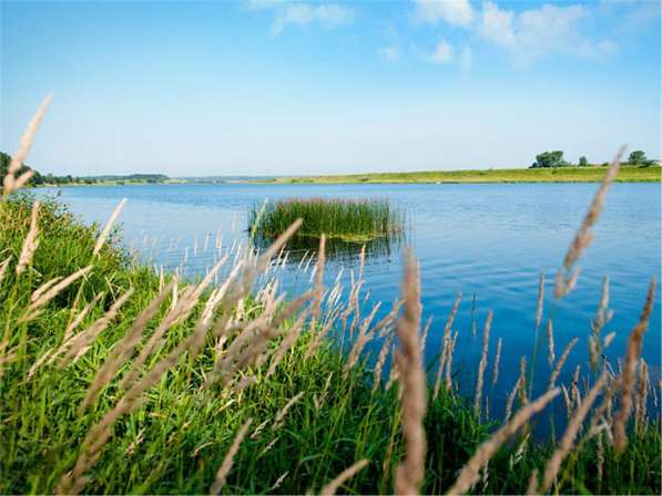 Продам однокомнатную квартиру в Тверь.Жилая площадь 60,32 кв.м.Этаж 2.Дом кирпичный. в Твери фото 36