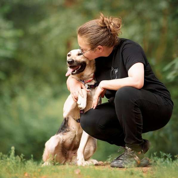 Чудесная собака Мира в добрые руки в Москве фото 25