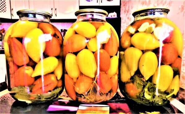 Семена томата ЗОЛОТАЯ КАНАРЕЙКА - 20шт в Новосибирске фото 4