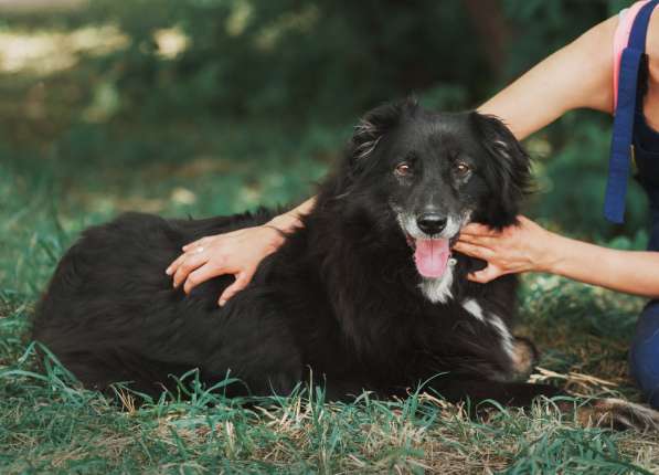 Весёлая, ласковая Чукча ищет семью в Москве фото 45
